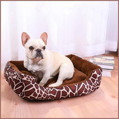 Panier-pour-chien-leopard
