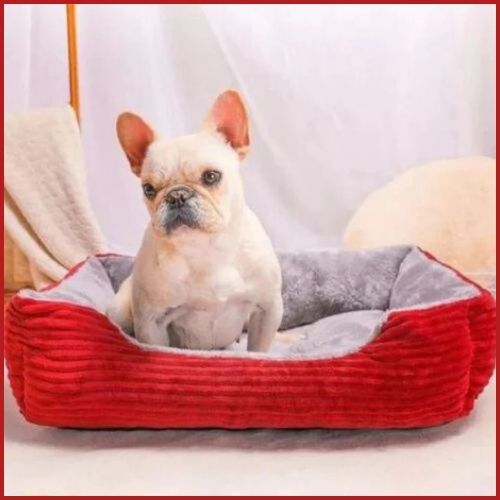 Panier-pour-chien-rouge