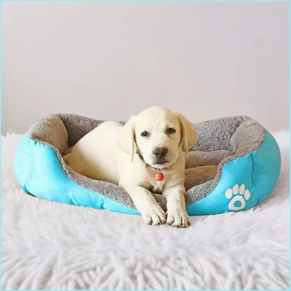 Panier-xxl-pour-chien-moyen-et-grand-turquoise