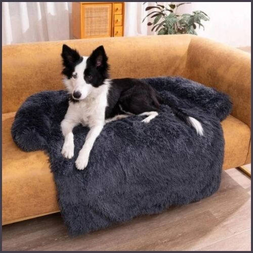 Protection-canapé-chien_noire