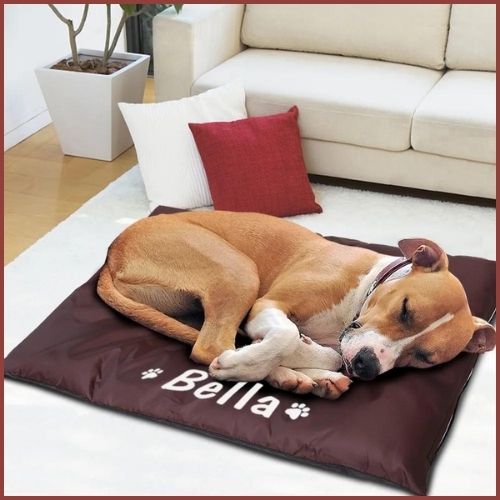 Tapis-chien-personnalisé-avec-housse-imperméable-et-déhoussable-marron