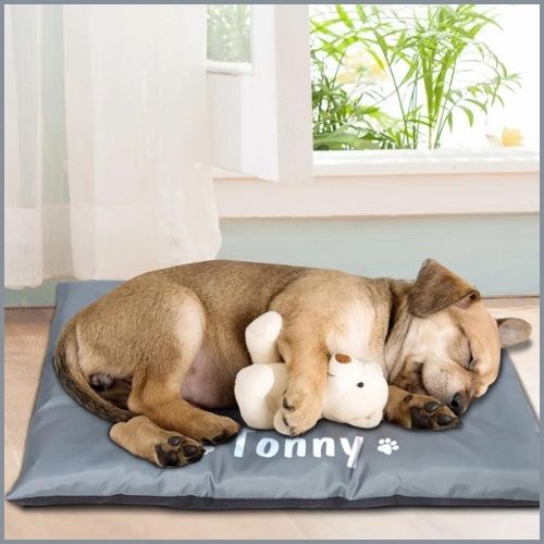Tapis-chien-personnalise-gris