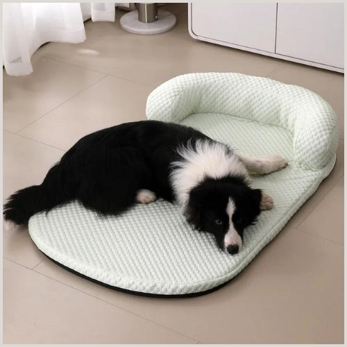 Tapis chien rafraichissant | Simon™ - Mon Shiba Inu
