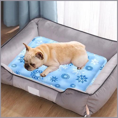 Tapis chien rafraichissant | Neve™ - Mon Shiba Inu