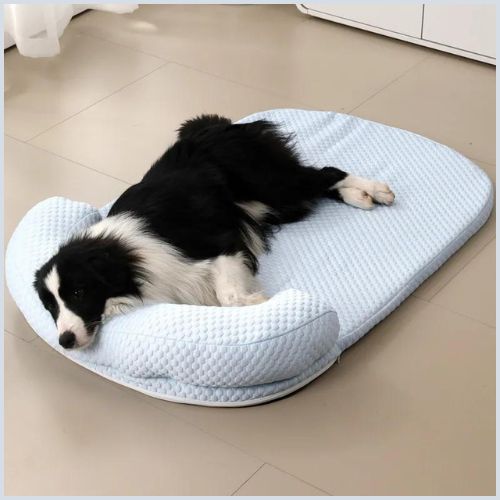Tapis-chien-rafraichissant-turquoise