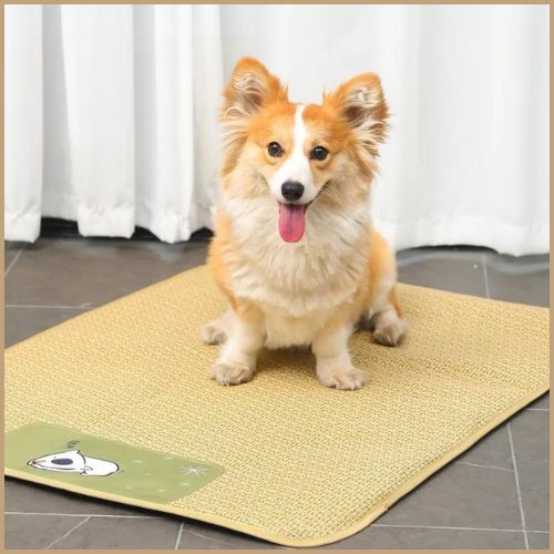 Tapis-rafraichissant-chien-Welsh-corgi