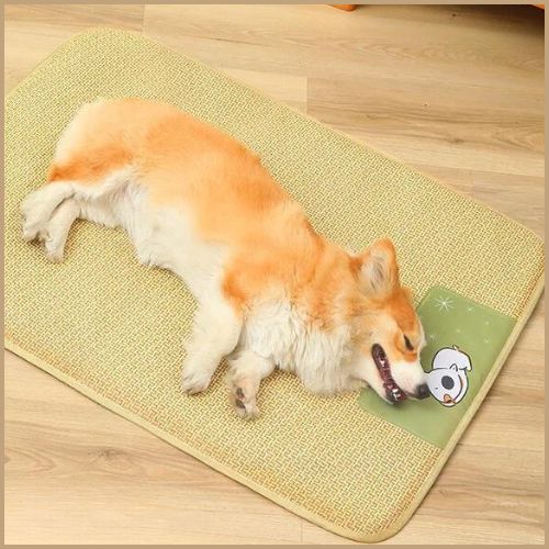 Tapis-rafraichissant-chien-corgi