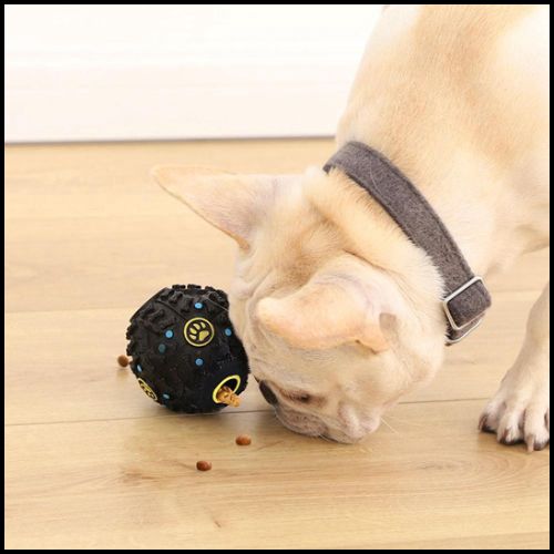 balle-chien_distributeur-de-friandises-et-hygiène-dentaire-patte