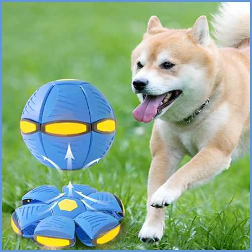 balle_chien_bleu