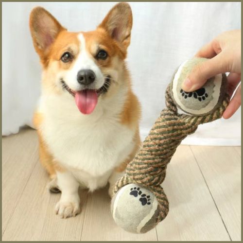 balles-chien_beige