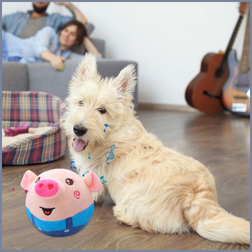 balles-chien_bleu