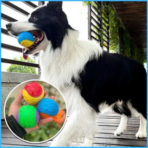 balles-chien_jouet