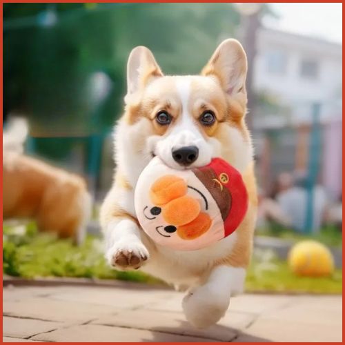 balles-chien_orange