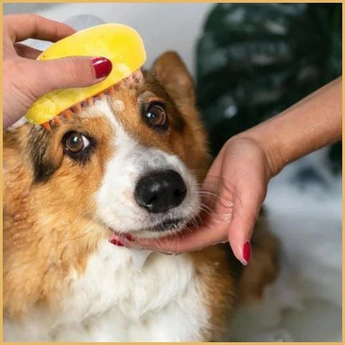 brosse-chien-bain