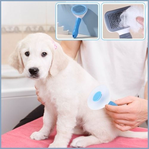brosse-pour-chien-autonettoyante-poils-longs-turquoise