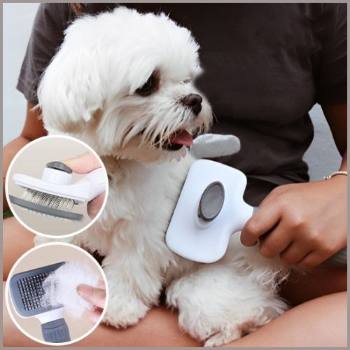 Brosse pour chien Ploufâą - Mon Shiba Inu