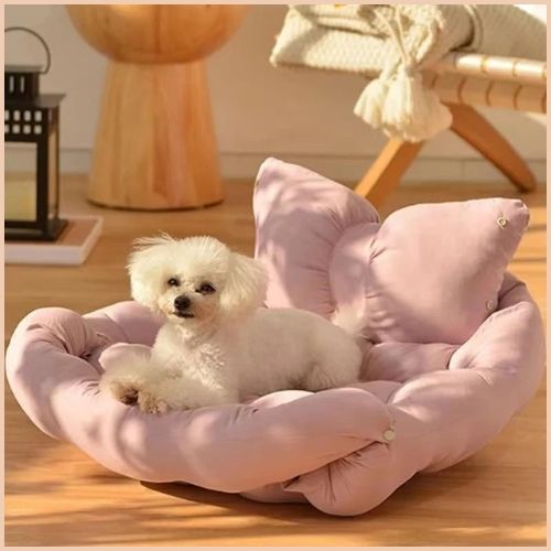 canapé-chien-rose