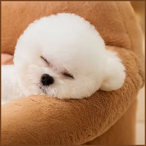 canapé-pour-chien-repos