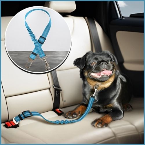 ceinture-de-sécurité-pour-chien-extensible-et-réglable-bleu