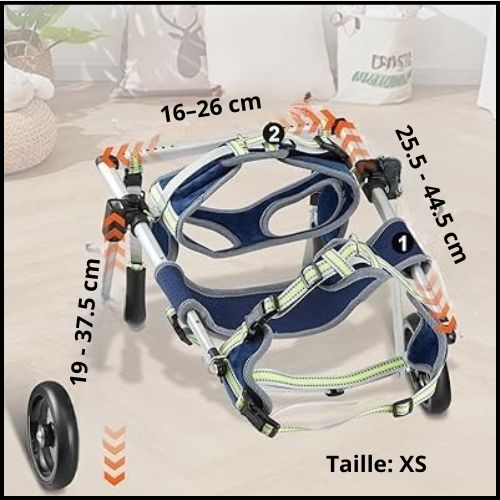 chariot-pour-chien-handicapé-XS