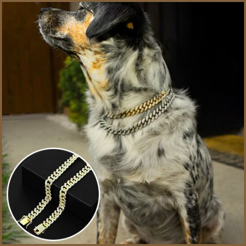 collier-chaine-chien-chaines