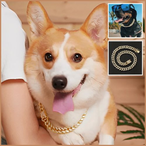collier-chaine-chien-corgi-marron