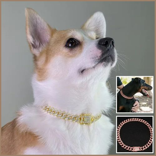 collier-chaine-chien_élégant-avec-strass-corgi