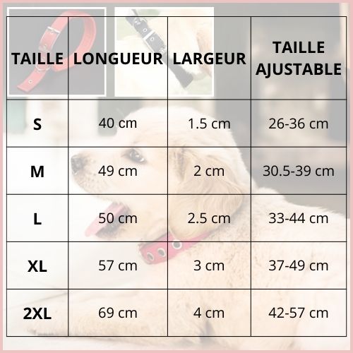 collier-chien-en-nylon-résistant-et-réglable-tableau