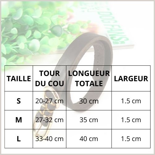 collier-chien_cuir-marron-résistant-et-confortable-petite-taille-tableau