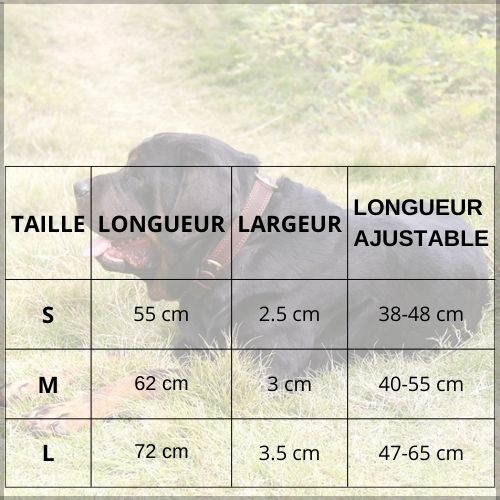 collier-chien_cuir-résistant-pour-tailles-moyenne-et-grande-taille