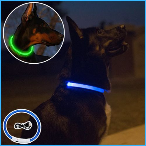 Collier lumineux chien |LumiPatte