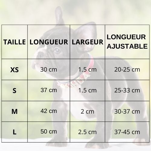 collier-pour-chien-personnalise-rouge-taille