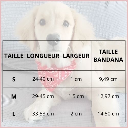 collier-pour-chien_en-bandana-réglable-pour-petit-et-moyen-taille