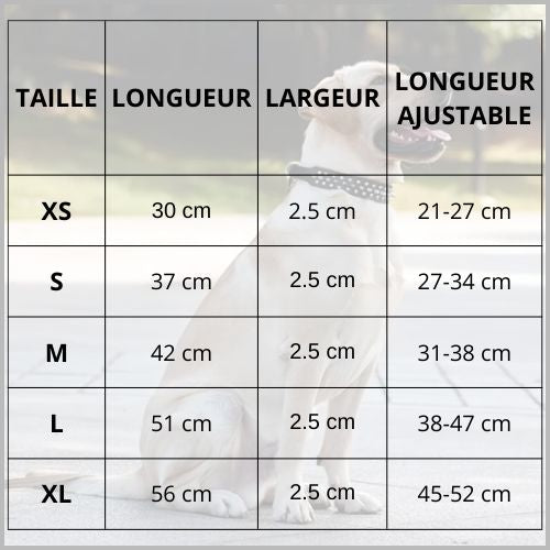 collier-pour-chien_réglable-avec-picots