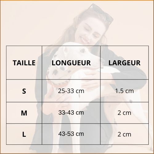 collier-pour-chien_tressé-fait-main-tableau