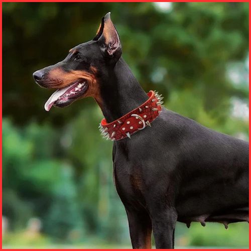 collier-pour-gros-chien-résistant-avec-picots-rouge
