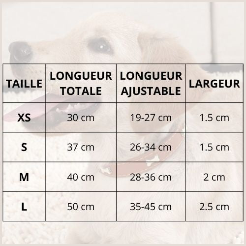 collier-pour_chien-avec-décor-os-en-métal