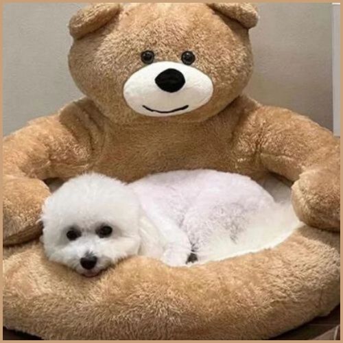 coussin-pour-chien-beige-clair