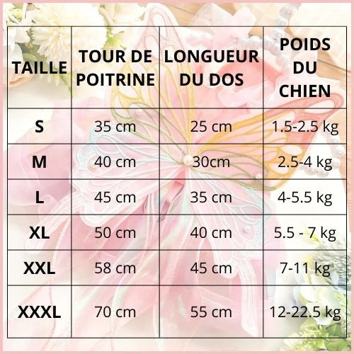 Deguisement chien |FéeCanine