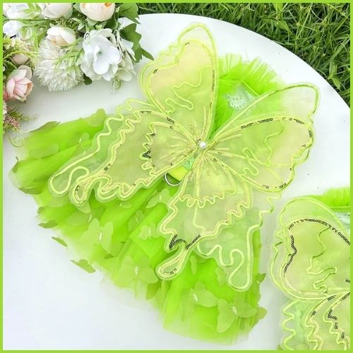 deguisement-chien_perle