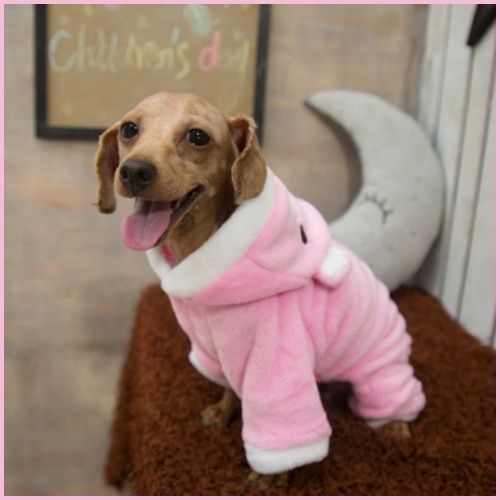 deguisement-pour-chien-blanc-rose