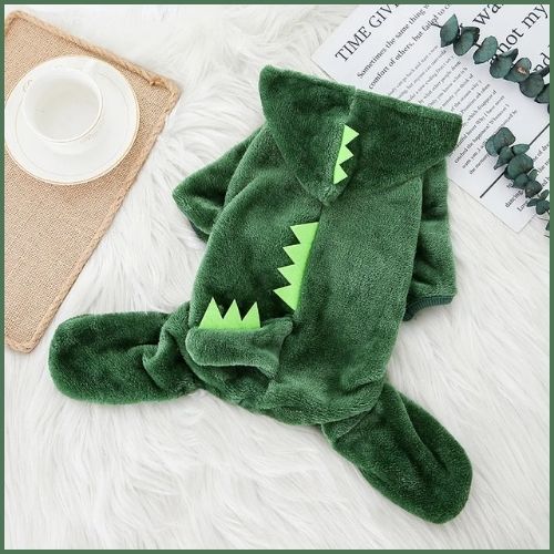 deguisement-pour-chien-polaire-vert