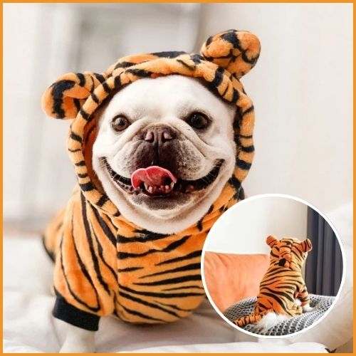 deguisement-pour-chien-tigre-noir