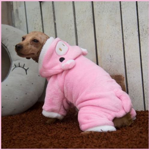 deguisement-pour-chien_rose-cochon