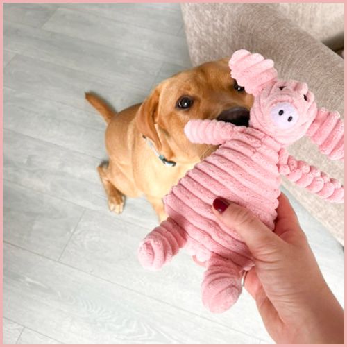 doudou-pour-chien_cochon