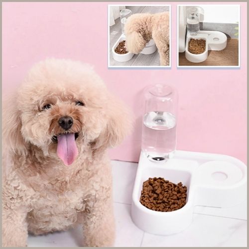 gamelle-chien-nourriture