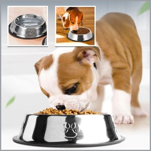 gamelle-chien_en-inox-durable-chiot