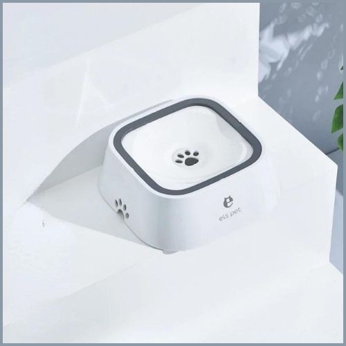 gamelle-eau-chien-blanc