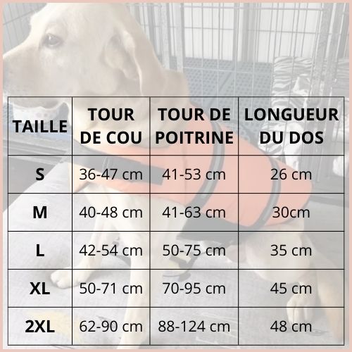 gilet-de-sauvetage-chien-tableau