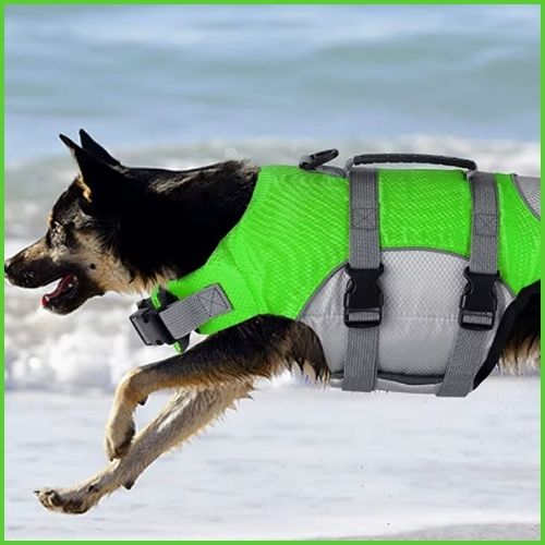 gilet-de-sauvetage-chiens_vert